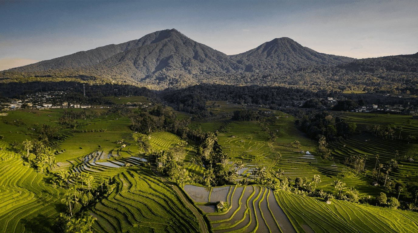 Mist-veiled terraced rice fields in Jatiluwih Bali under early morning light